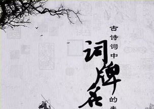 宋词中的词牌名都有哪些?