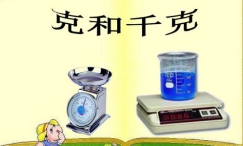 体重单位kg是多少斤