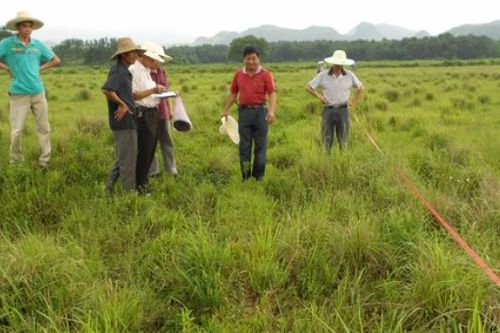 一公顷等于多少亩?