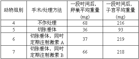 小组名称