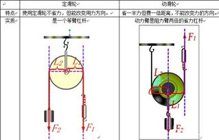 什么叫定滑轮?什么叫动滑轮?什么叫滑轮组?其作用是什么?
