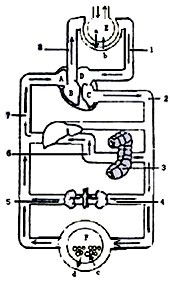 下图为人体的血液循环系统示意图,请据图回答: (1)A是: ;B是_百度