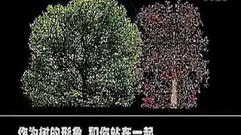 罗马尼亚电影橡树,十万火急有几个版本?为什么视频有彩色和黑白两种版