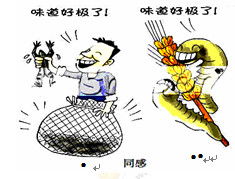 同感是什么意思 同感解释