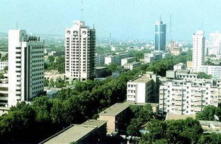 洛阳信息港的介绍