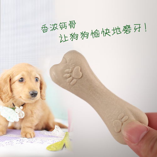 狗磨牙棒那个品牌好 如何分别狗狗需要什么样的磨牙棒
