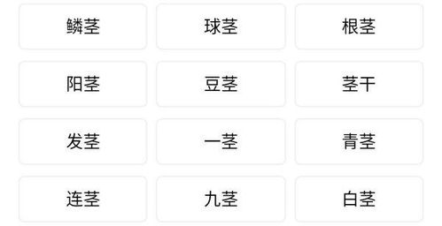 茎能组什么词语