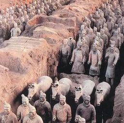 秦兵马俑资料简介100字