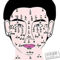 女性面相痣图解大全
