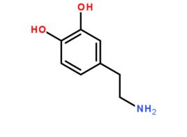 多巴胺是什么?