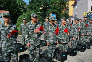 现在当兵需要什么条件