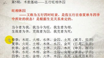 什么是术数?