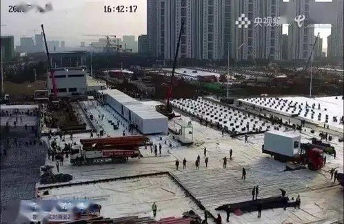 为什么叫火神山和雷神山医院?
