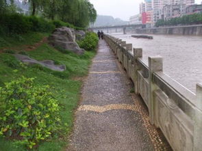 郴的读音是什么?