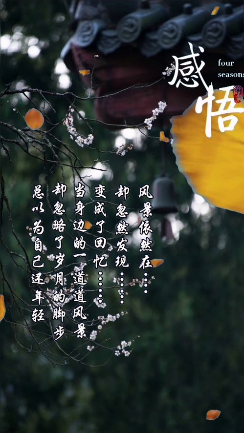 人生语录写给自己 生活语录致自己人生短句