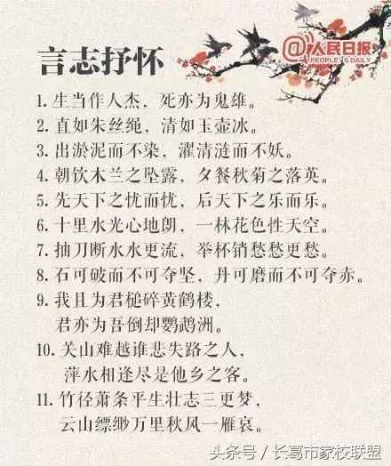 对偶是什么意思