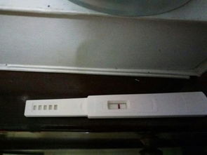 验孕棒上的c和t都代表什么意思