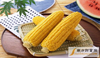 日照玉米现在卖价多少钱是否有电话联系
