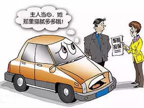 汽车保险主要包括哪些?