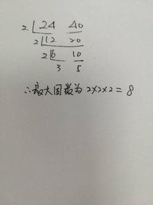40的因数有哪些?