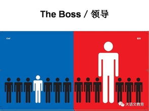 美国和中国的文化差异