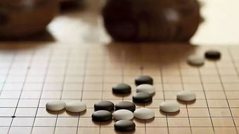 初学者怎样下围棋?