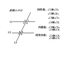 同位角的定义?