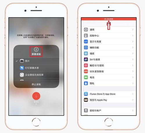 苹果手机录屏怎么没声音什么原因