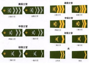 四级士官相当于什么级别?