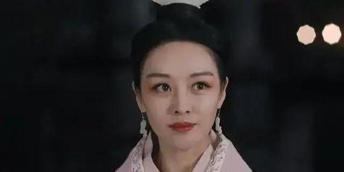 历史上秦二世胡亥的母亲是谁