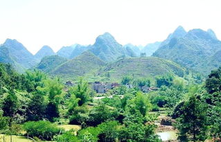 如何看坟地风水