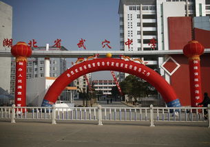 武穴中学大学升学率