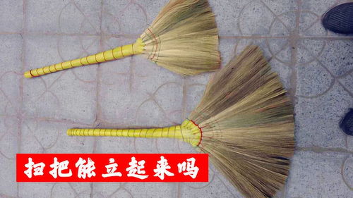 扫把能立起来的物理原理是什么,一道物理题?