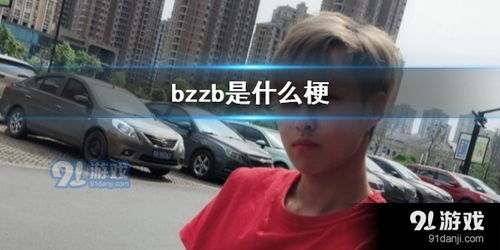 bzzb是什么梗 bzzb梗介绍