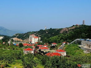 大冶是哪个省的城市?