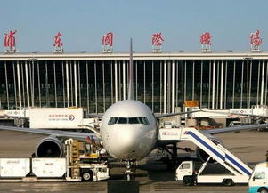 怎样查浦东机场航班到达信息