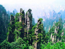 张家界森林公园风景区简介