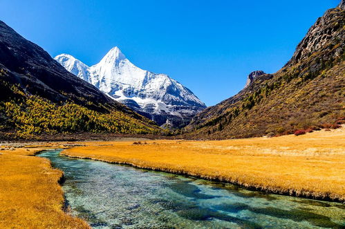 稻城亚丁在哪个省哪个市