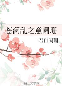 阑珊是什么意思?