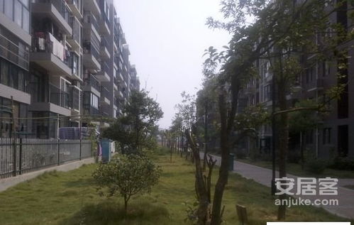 佳源花都的房子怎么样?