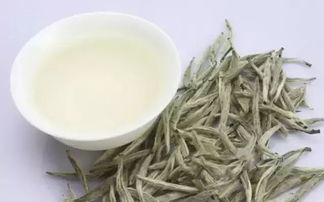 白茶适合什么季节喝?