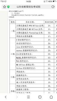计算机等级考试需要考什么内容