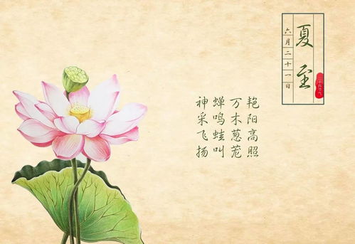 发扬滋长的意思是什么