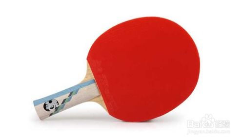 怎样选择乒乓球拍