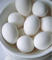 一个鸡蛋含多少克蛋白质?