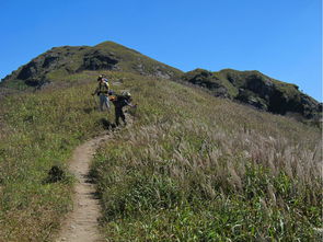 什么是迎风坡 迎风坡解释
