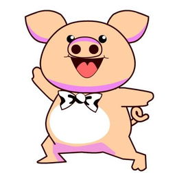 属猪的今年多少岁年龄最大