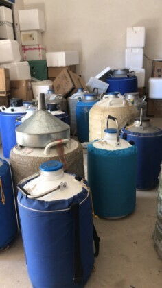 液氮温度是多少度?