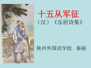 十五从军征原文及翻译及注释