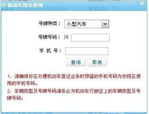 电子抓拍违章多久能查到